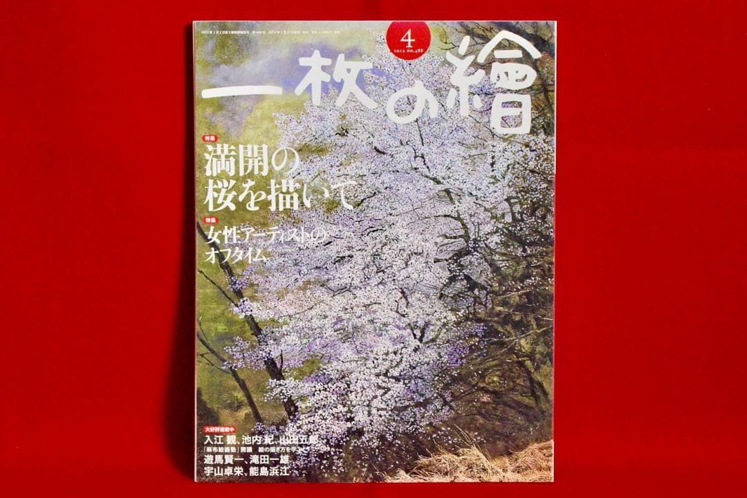 花乙女コレクション【志賀納　桜、通り抜け】購入金額より60％お値引き！！