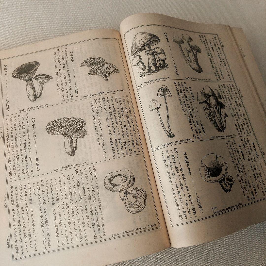 【戦前・初版本】大植物圖鑑　昭和十六年　らんまん・牧野富太郎ライバル　村越三千男