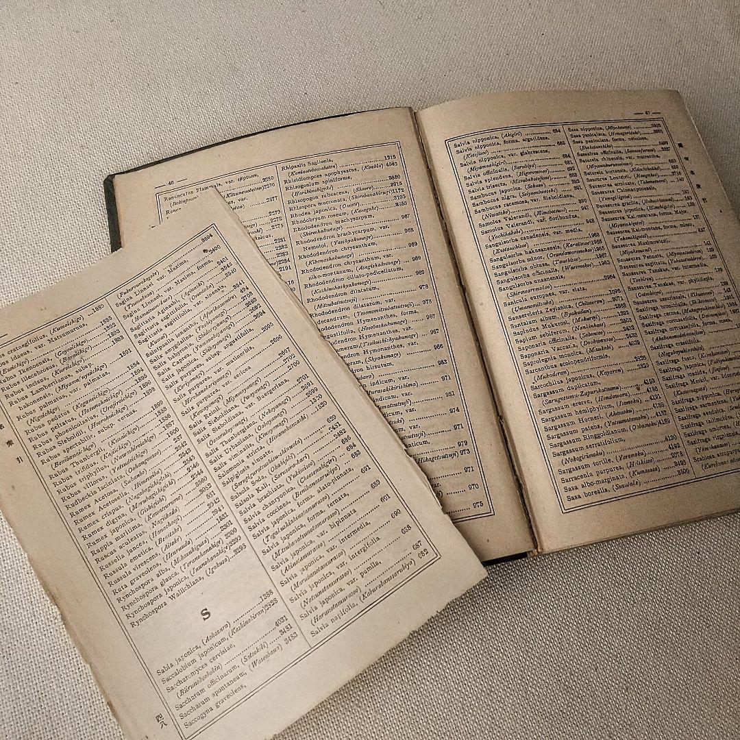 【戦前・初版本】大植物圖鑑　昭和十六年　らんまん・牧野富太郎ライバル　村越三千男