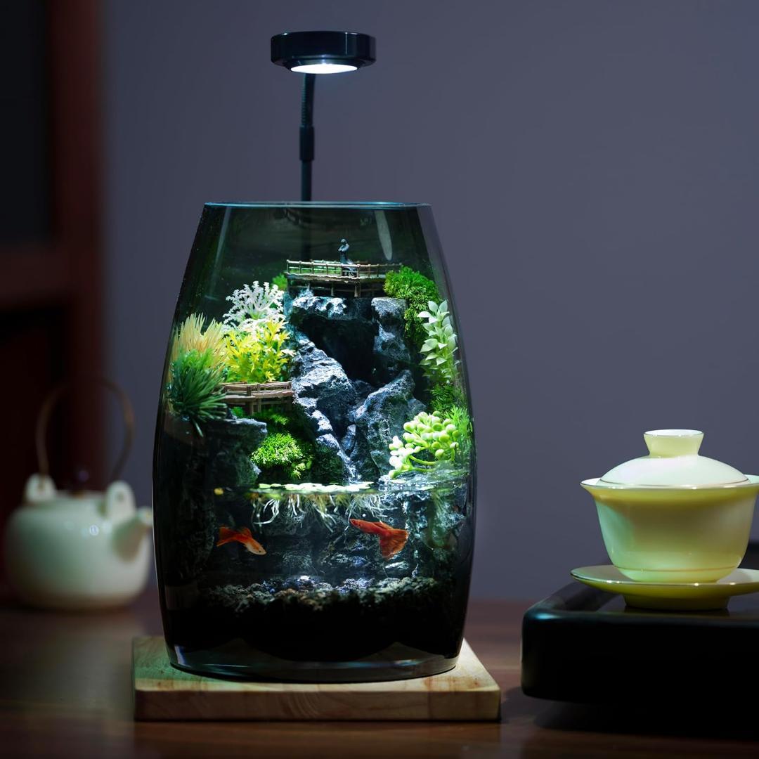 水を入れるだけですぐに始められる ミニチュアランドスケープアクアリウムBセット