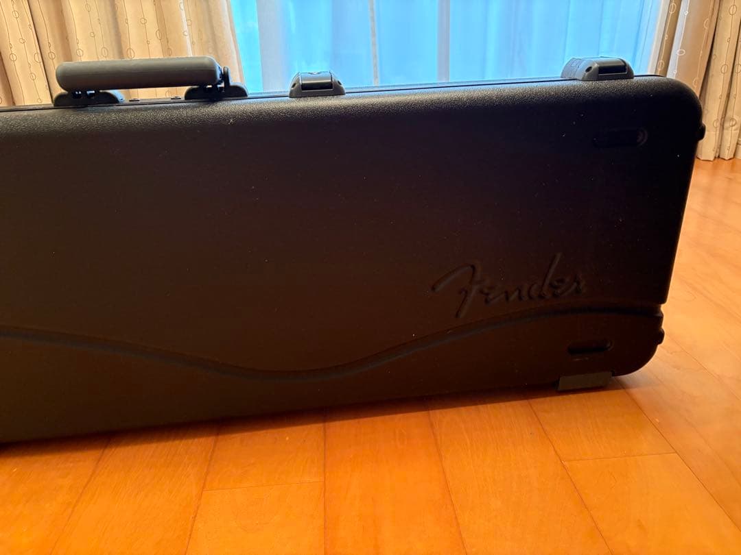 FenderストラトAmerican Professional Ⅱ ケース付