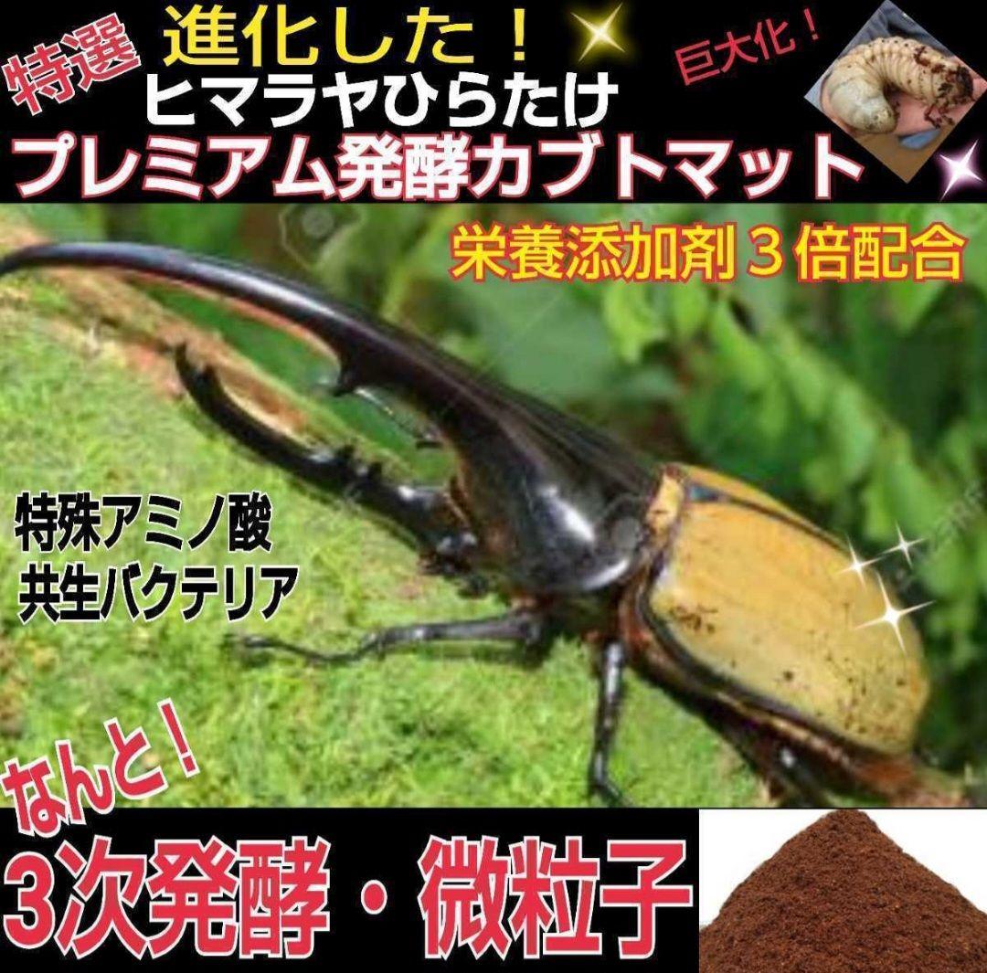 ヘラクレスが大きくなります！プレミアム3次発酵マット【60L】180ミリ羽化実績