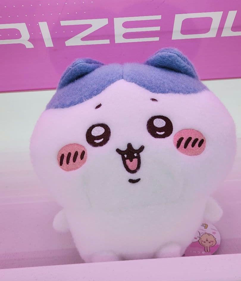 ちいかわ しーぷあ ぬいぐるみ しーぷあコンプリートセット