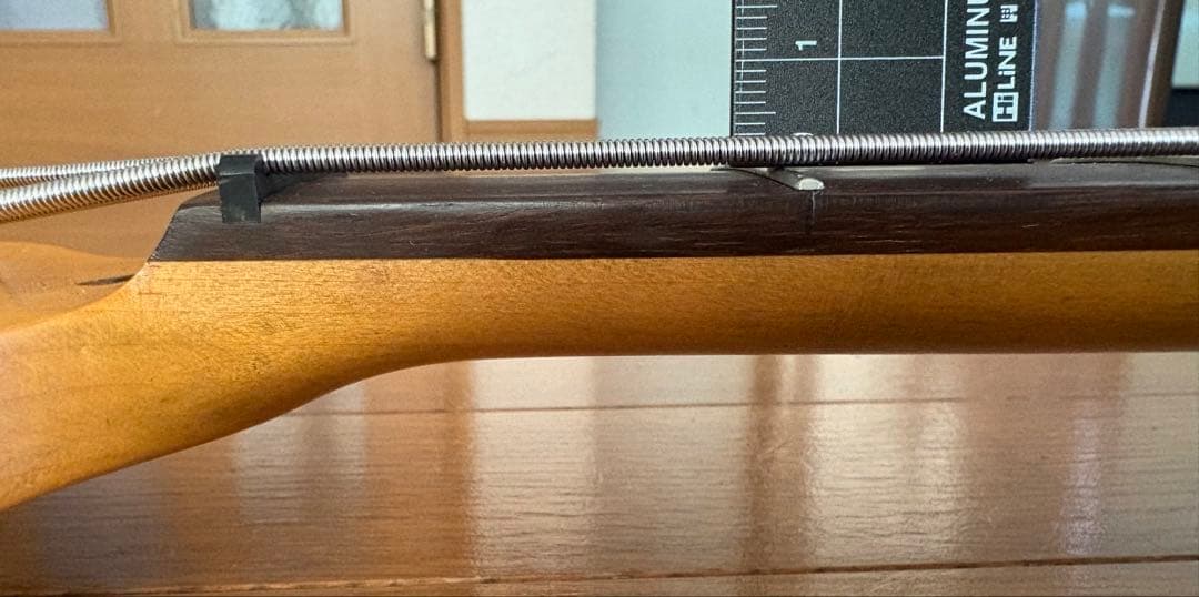 Vintage ICON Series V4 レリック使用