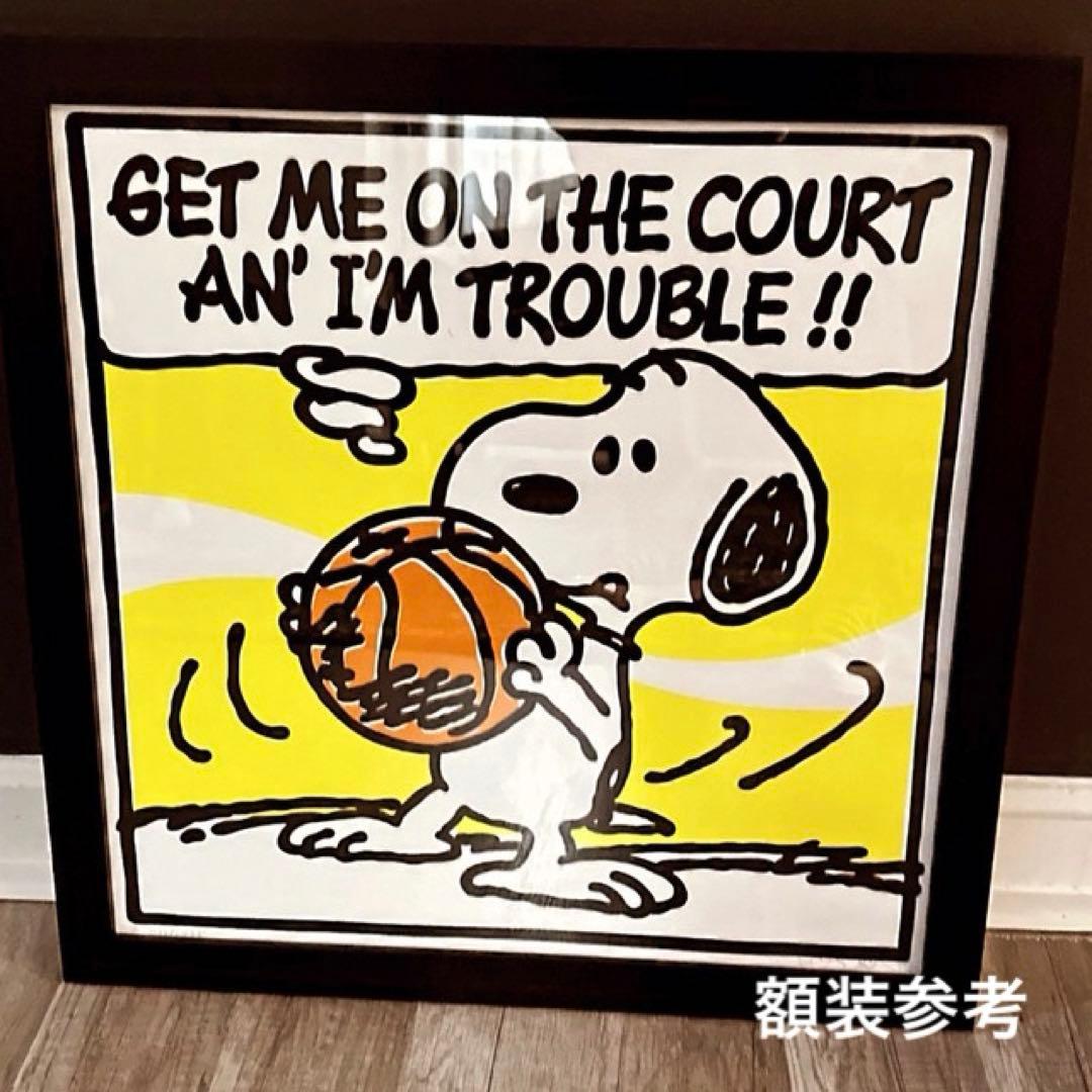 MARK DREW シルクスクリーン KAWS トムエバハート スヌーピー