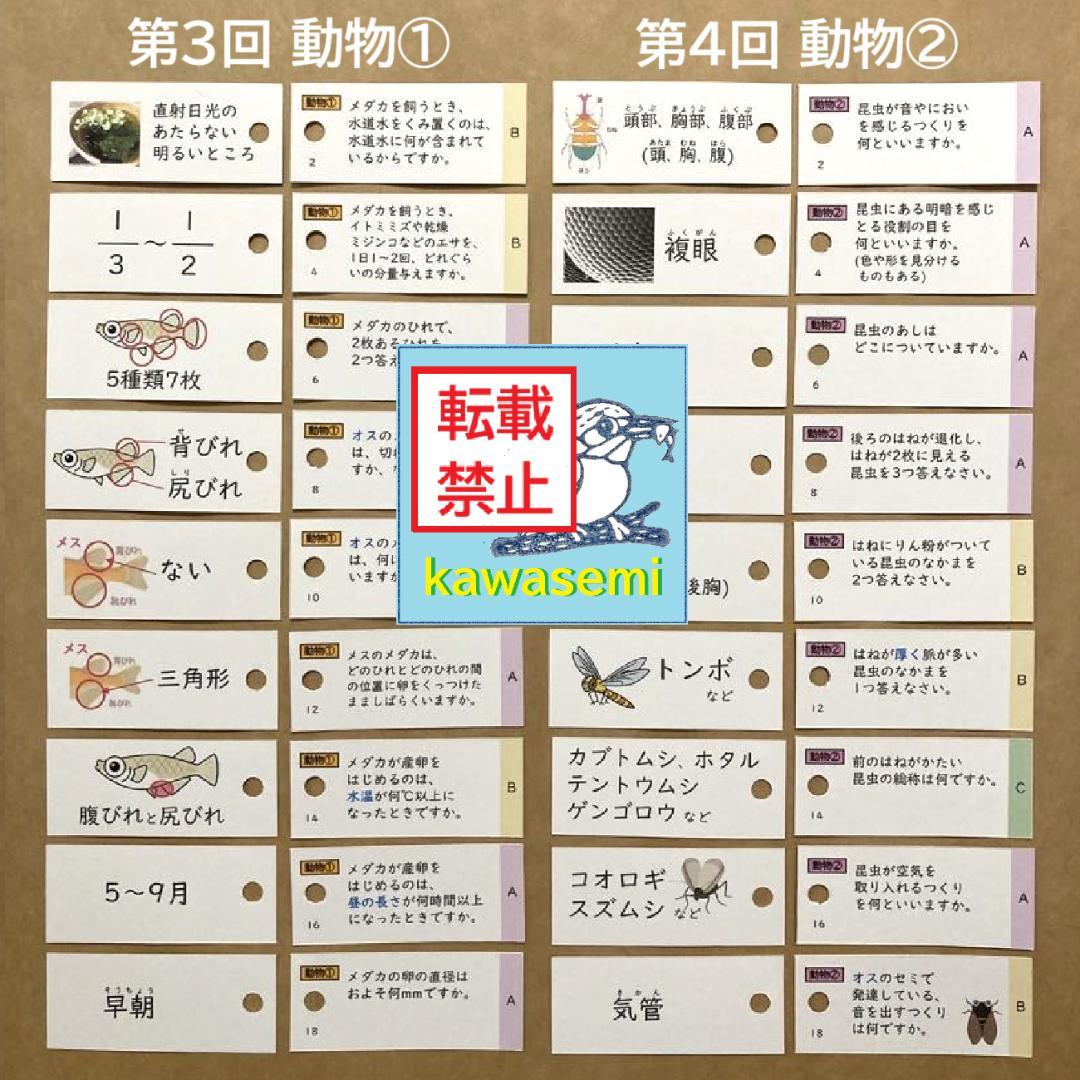 カット済 【中学受験】理科の基本事項 知識編 理科 暗記カード フルセットc