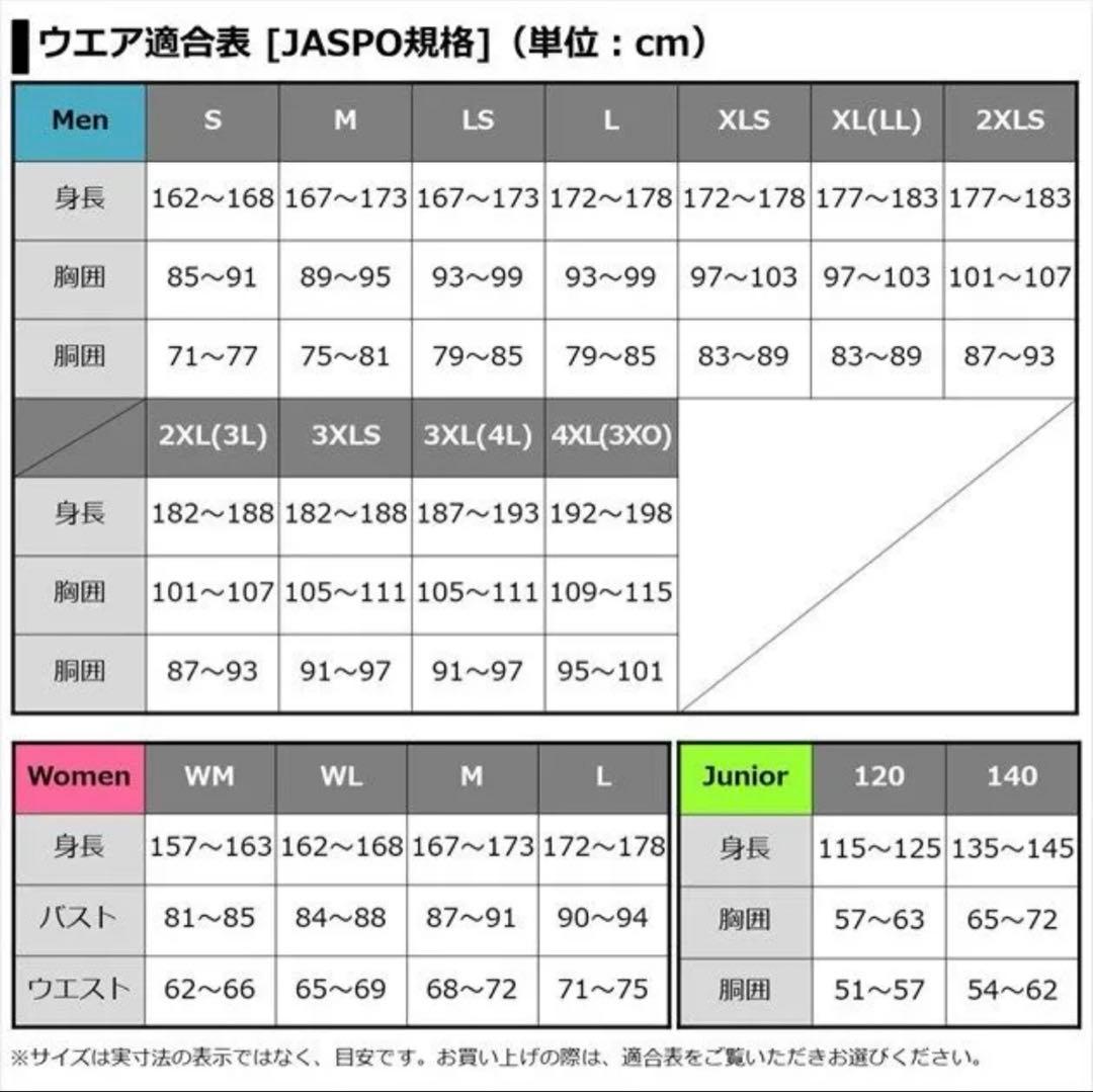 未使用　ダイワ　DW-1122 ゴアテックスプロダクト ウィンタースーツ L