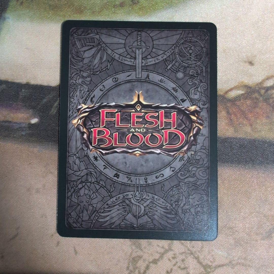 FaB　Scowling Flesh Bag　CF Cold Foil