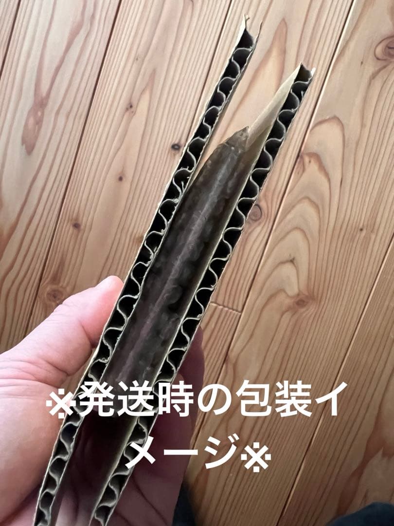 PSA10 レックウザGX SSR SM8b ウルトラシャイニー 240/150