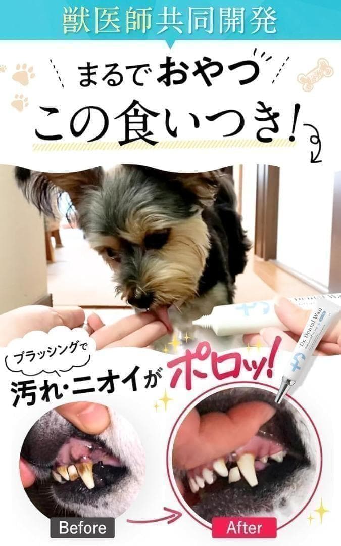 【新品未使用】 ドクターデンタルワン ４個セット 犬 歯磨き 歯ブラシセット