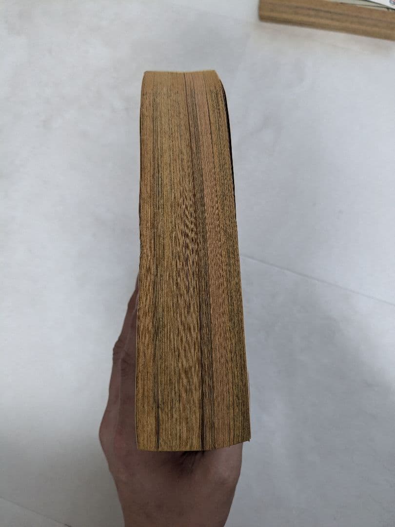 ANIMAL HOUSE 1991年4月号 ベルセルク掲載号