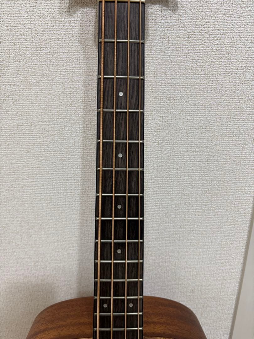 【生産終了品】Bacchus BAB-660 MAHO アコースティックベース