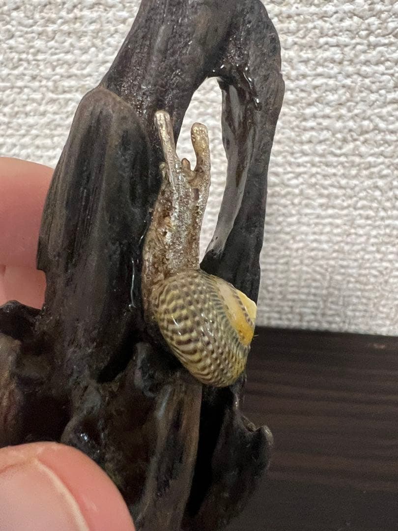 木製虫の置物