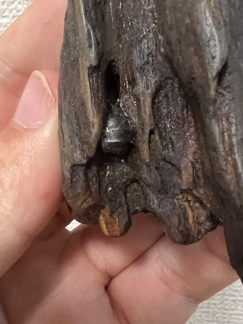 木製虫の置物