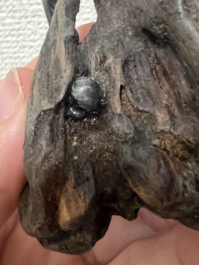 木製虫の置物