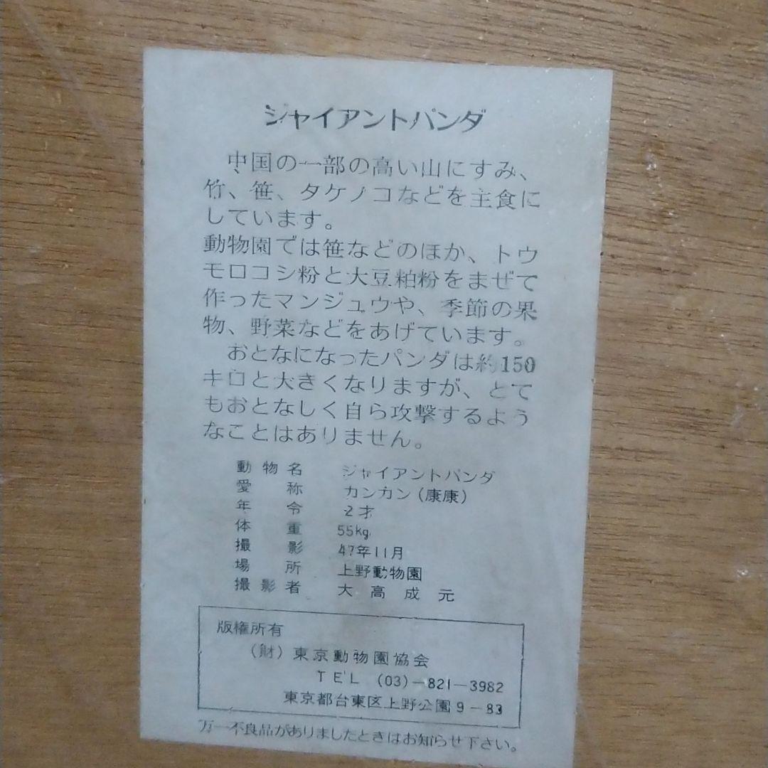 ジャイアントパンダカンカン(康康) パネル写真