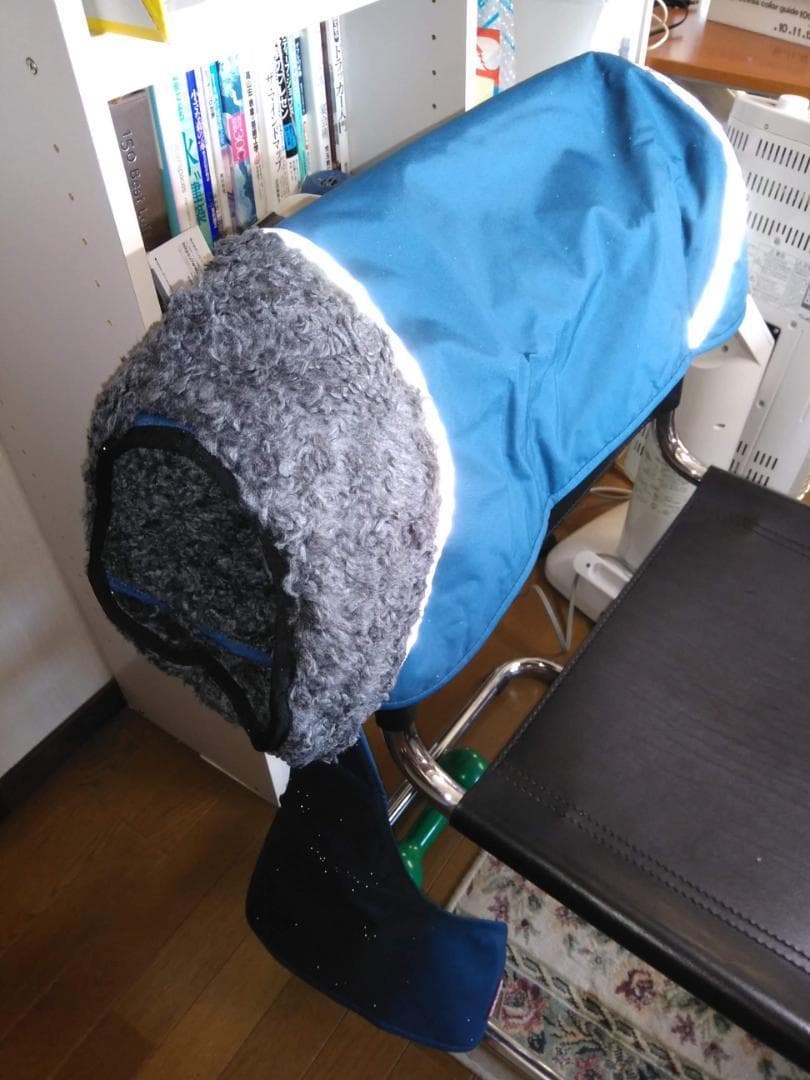 ポムッパ　ペルス　ペトロール　サイズ85