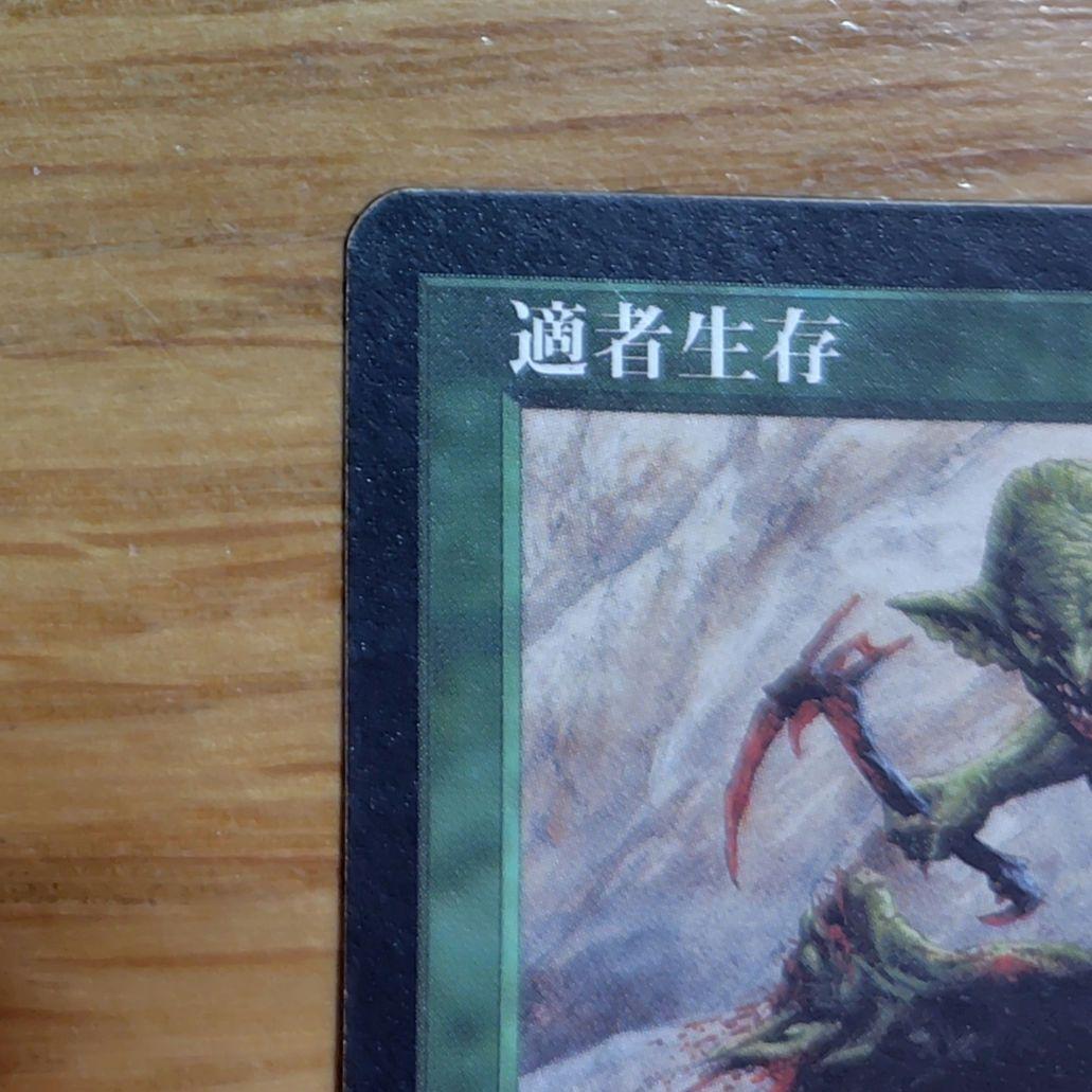 適者生存
