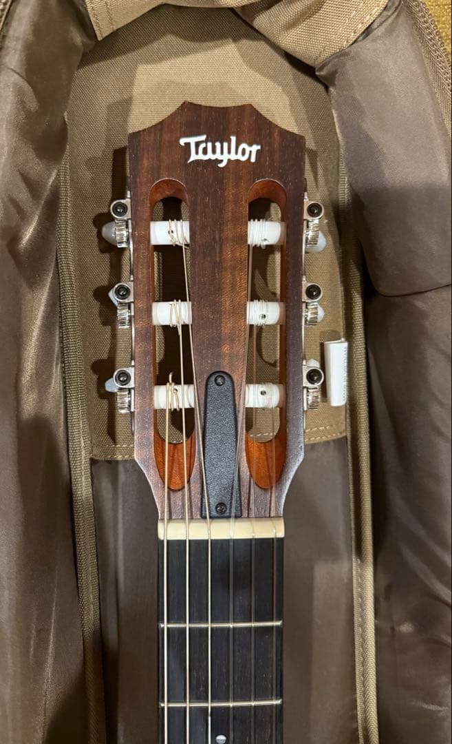 i*a様 Taylor academy 12n-e テイラー エレガット