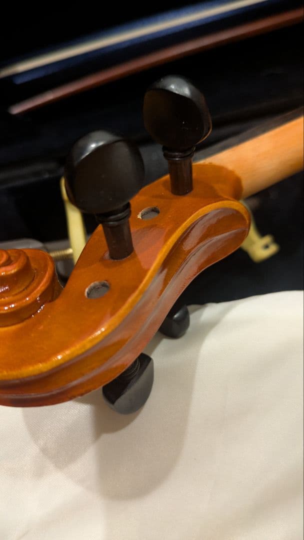 EASTMAN SVL80 分数1/10バイオリンセット イーストマン　欠品なし