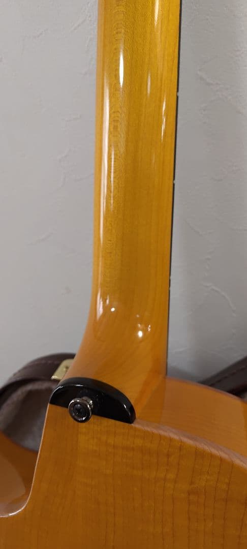 【美品】westville solar ハードケース付