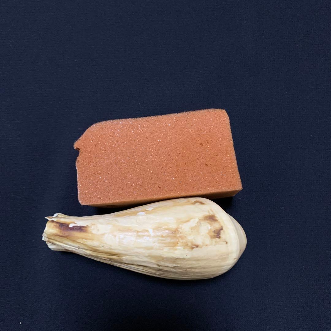 鯨歯