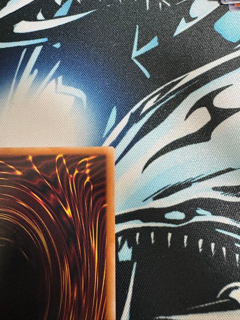 白き竜の落胤 プリシク