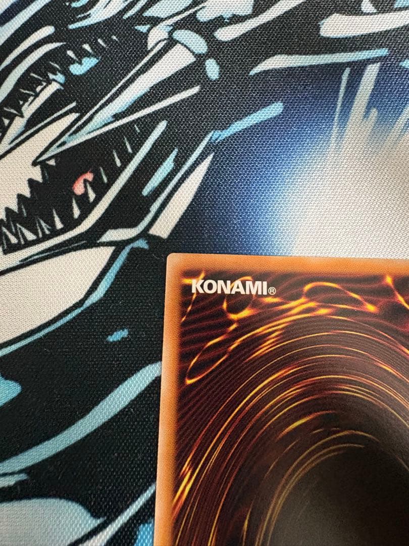 白き竜の落胤 プリシク