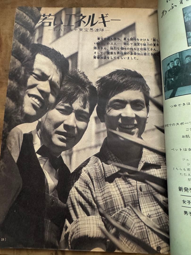 希少レア　昭和レトロ雑誌【美しい十代】1961年6月号　表紙:三田佳子