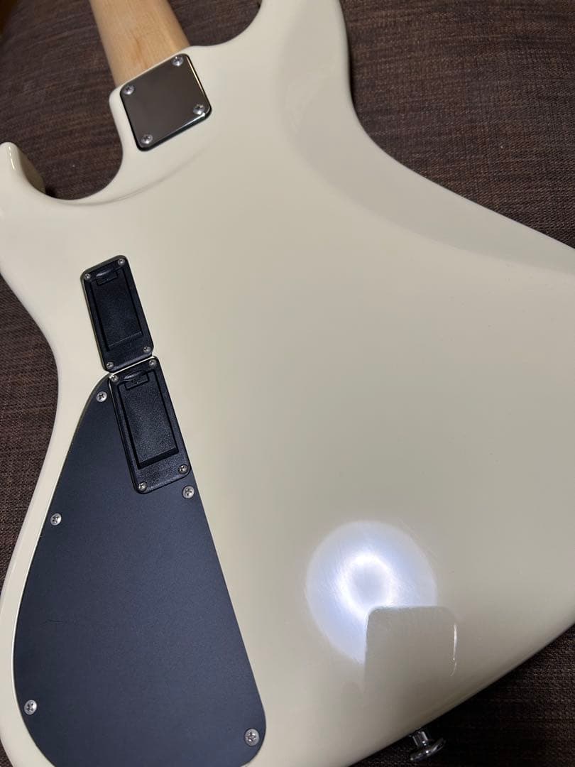 Wood Custom Guitars 5弦ベース