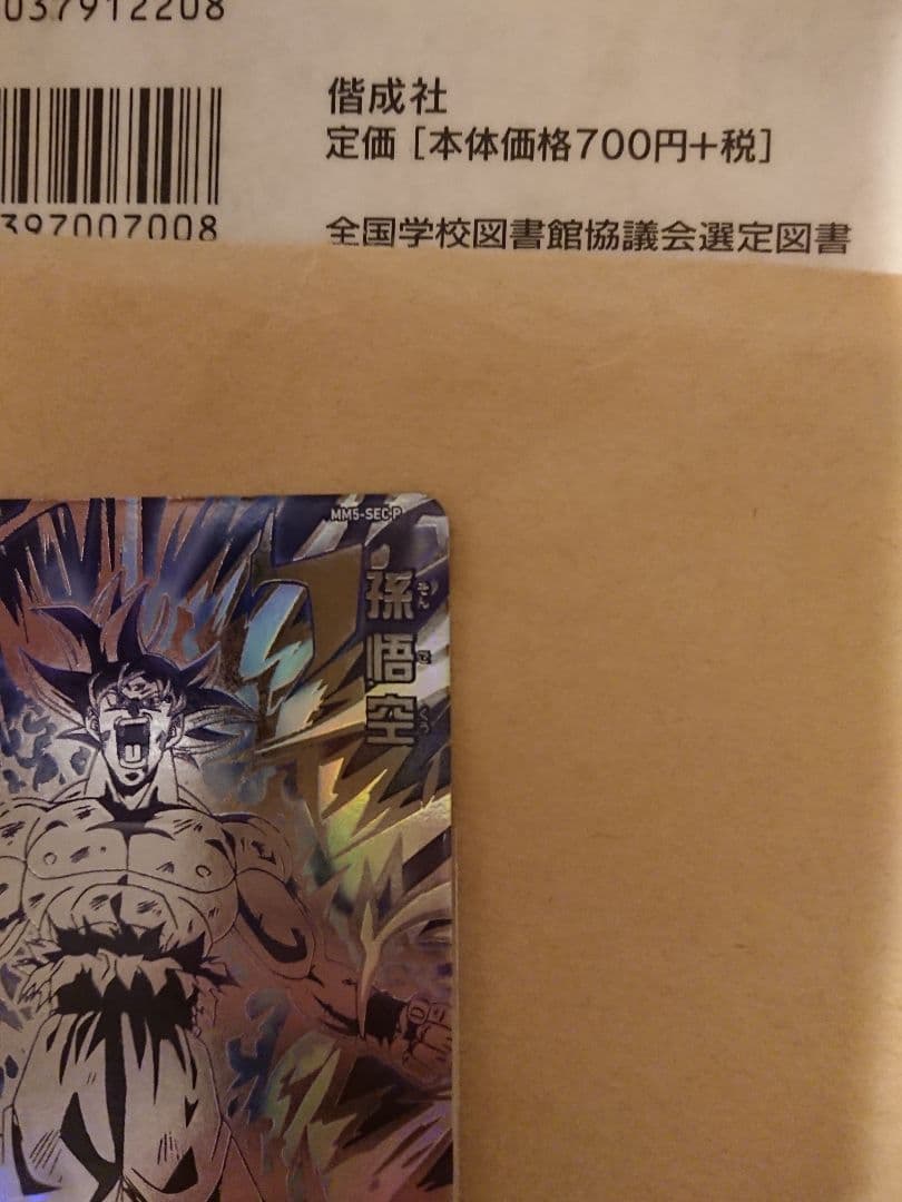mm5-sec p 孫悟空