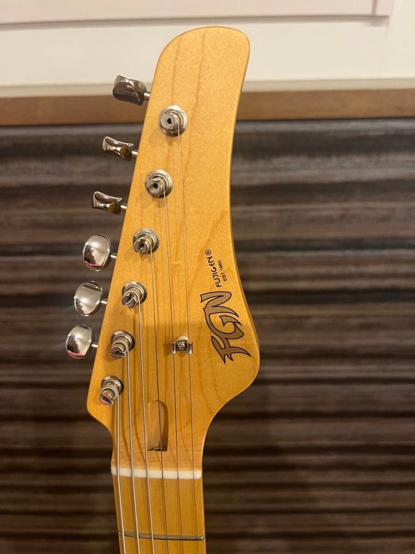 フジゲン　FGN テレキャスター　JIL2-ASH