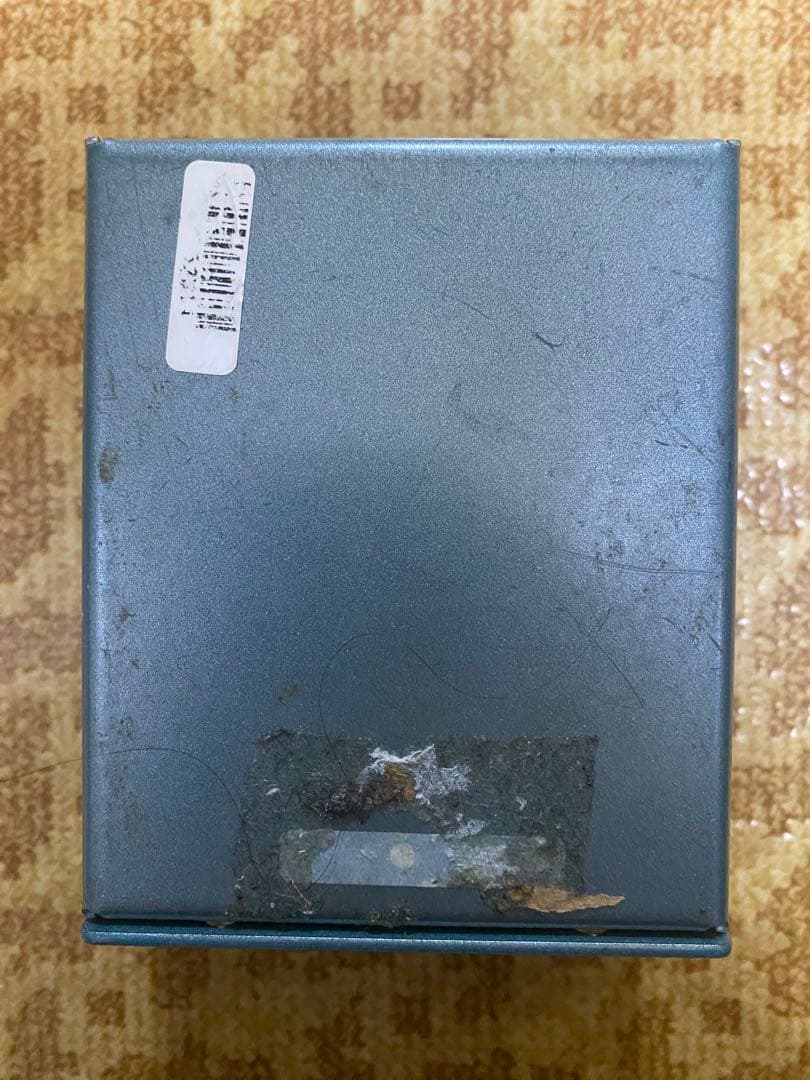 ギター Radial bones Vienna Chorus