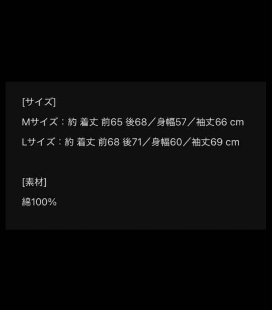 HYDE [INSIDE] LIVE 2025 パーカー☆Mサイズ