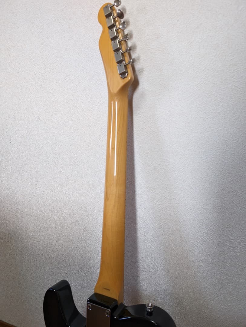 レア Laid Back Telecaster Thinline シンライン