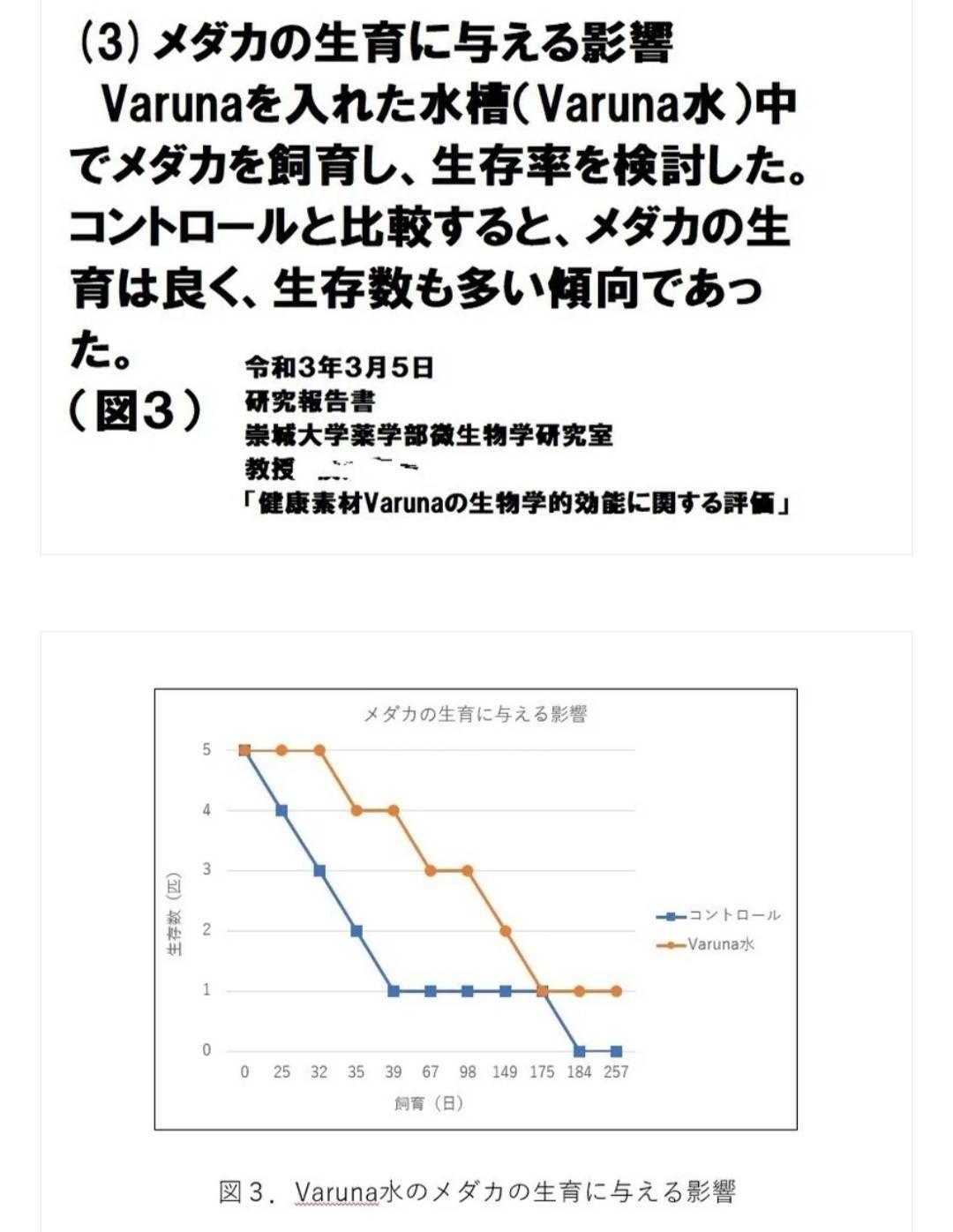 アロワナ飼育者絶賛！水槽の透明度抜群に！ヴァルナミニ　有害物質、病原菌も強力抑制