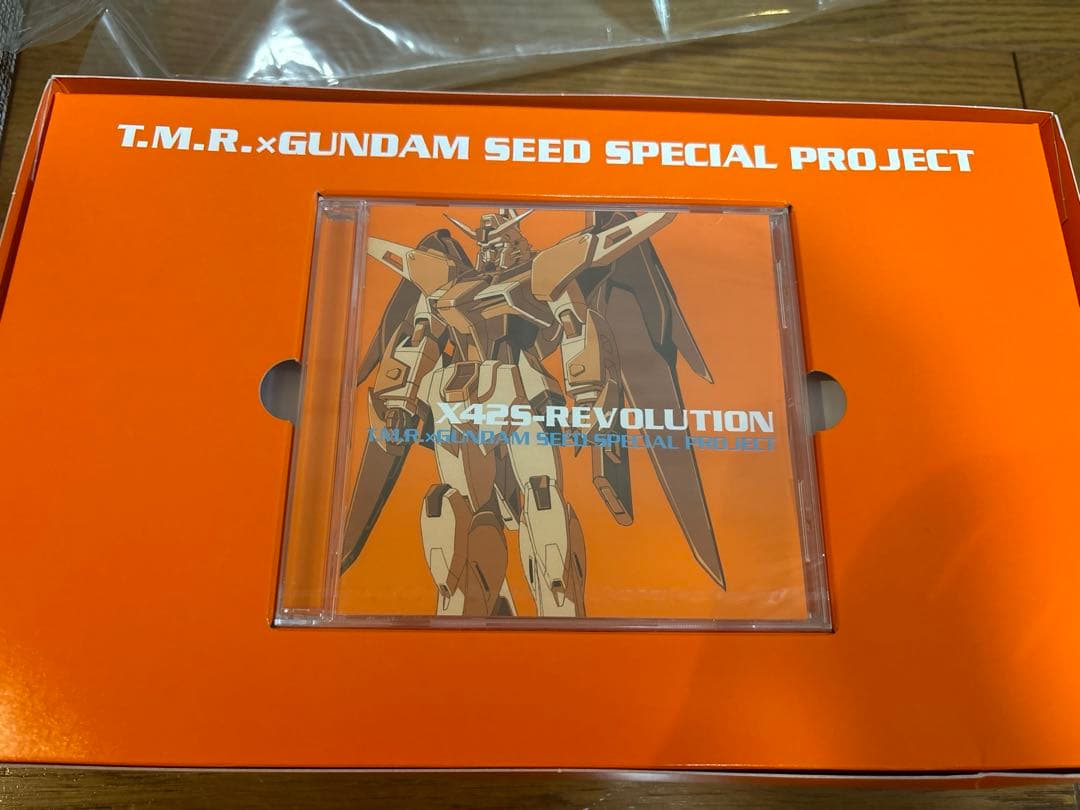 X42S-REVOLUTION HG ハイネ専用 ガンプラ