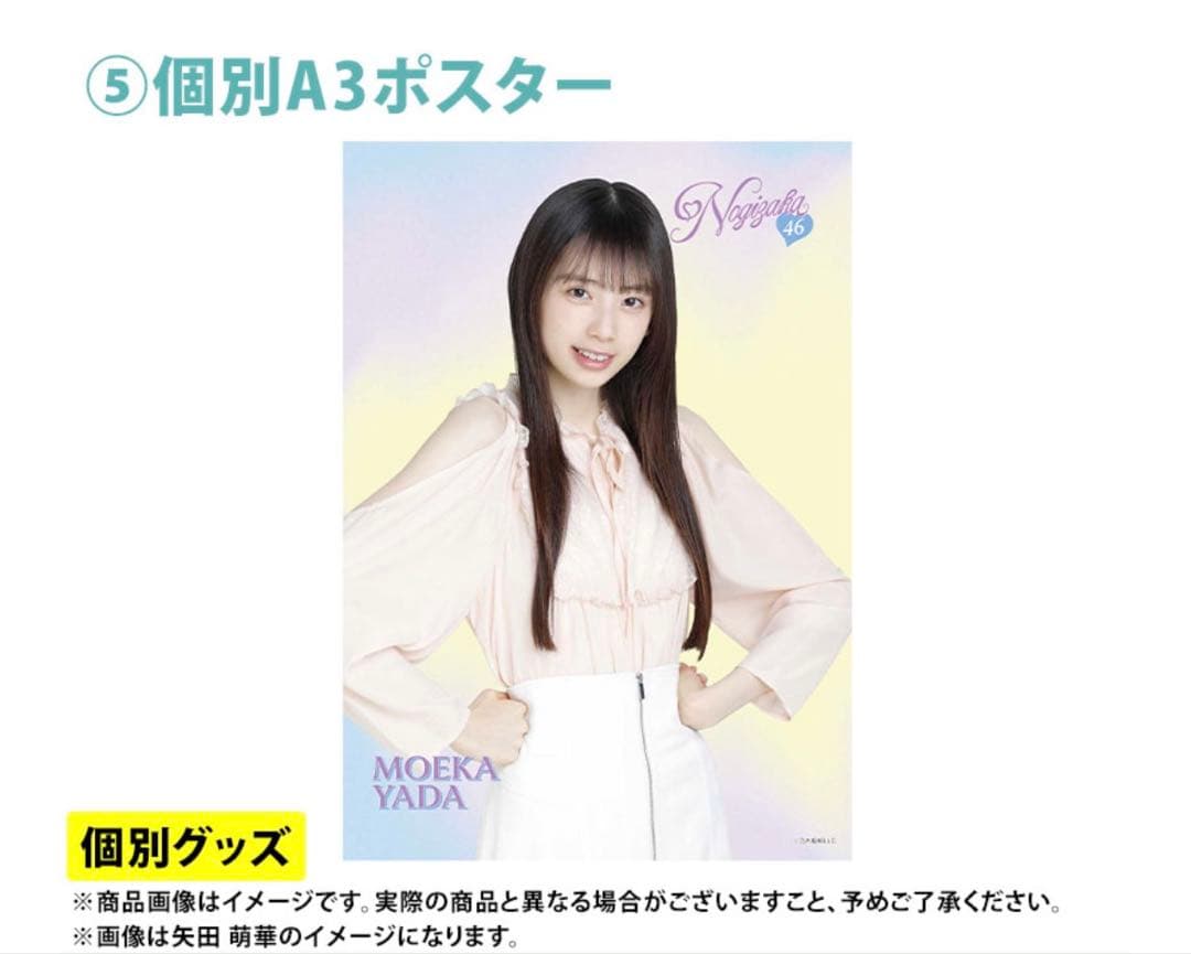 乃木坂46 2026年福袋A B C 19点　愛宕心響