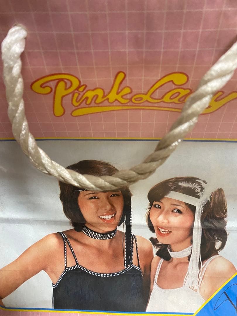 Pink Lady バッグ（紙袋）