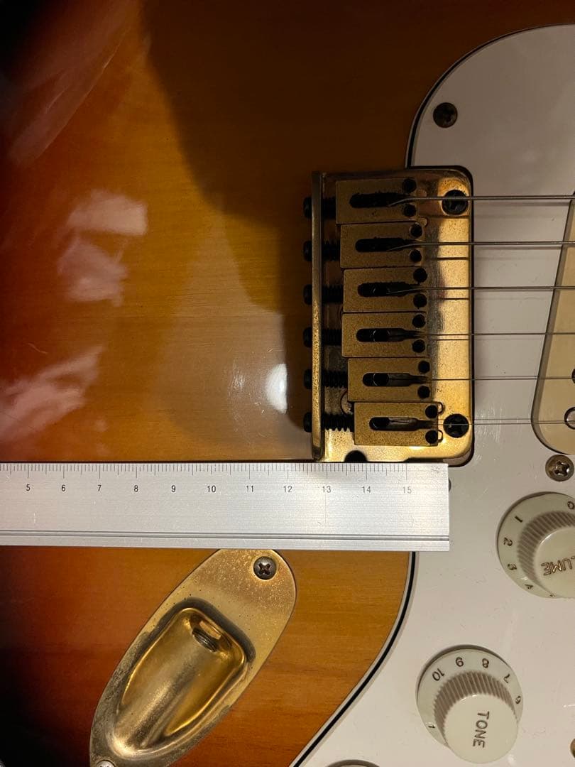 P-Project PST-1V ★VANZANDTピックアップ
