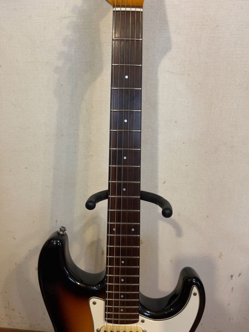 P-Project PST-1V ★VANZANDTピックアップ