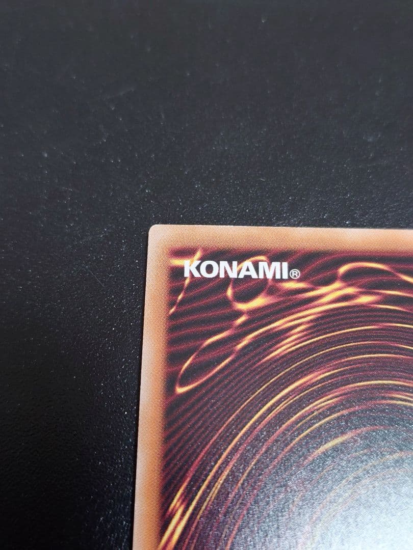 誇りと魂の龍