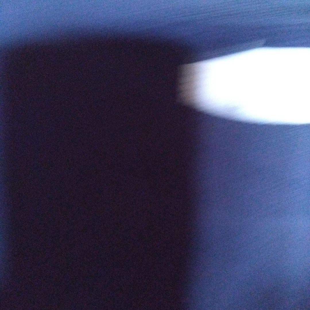 グラニフパンどろぼうトレーナー　L未使用