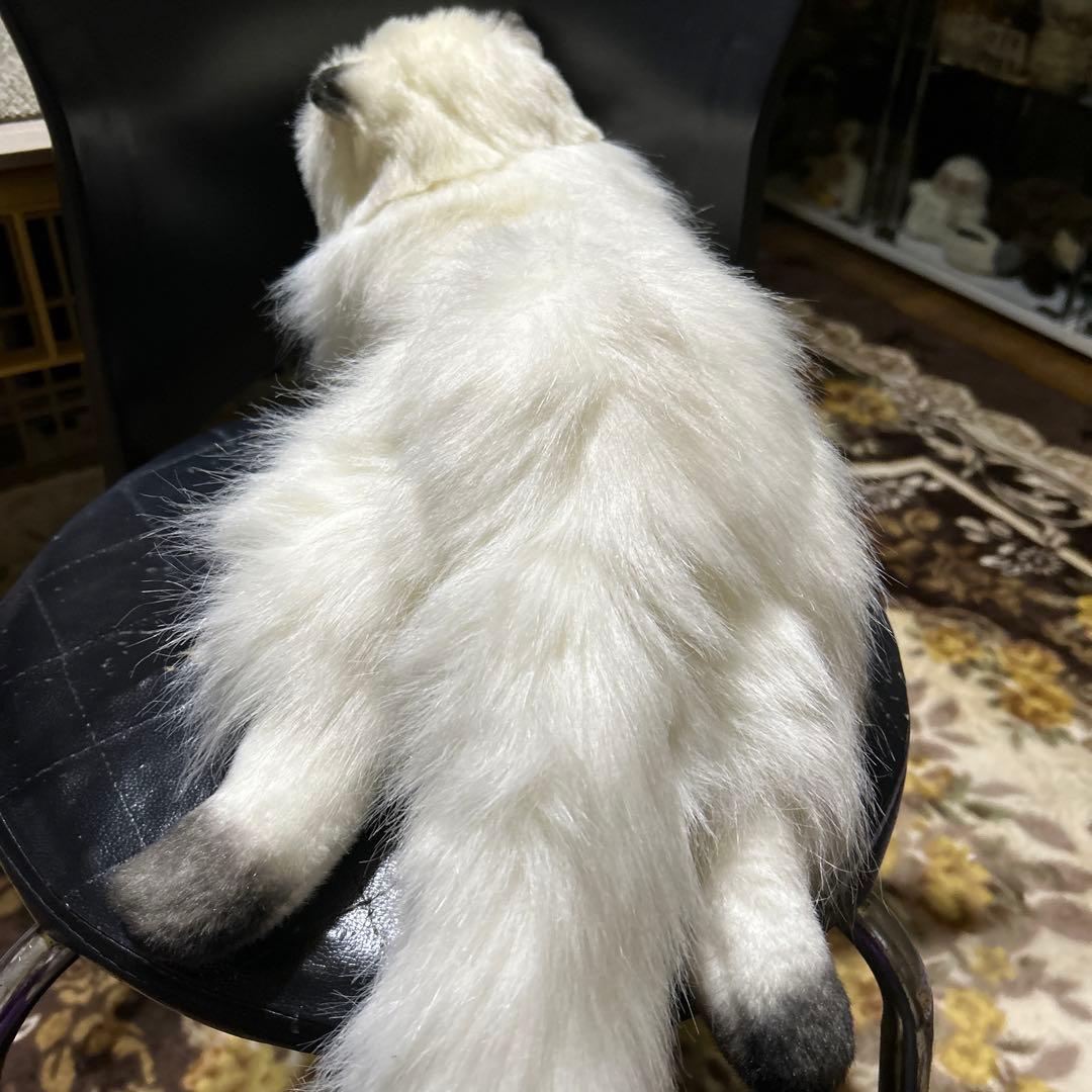 doorzo様❗️猫　ヒマラヤン　三英❣️
