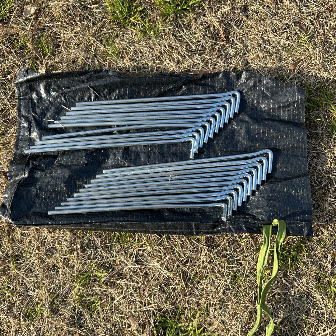 Coleman 欧州限定 ダーウィン 2 プラス EU Darwin 2Plus