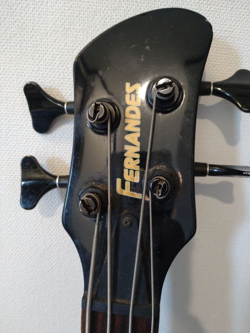 FERNANDES ハードケースとソフトケース付き