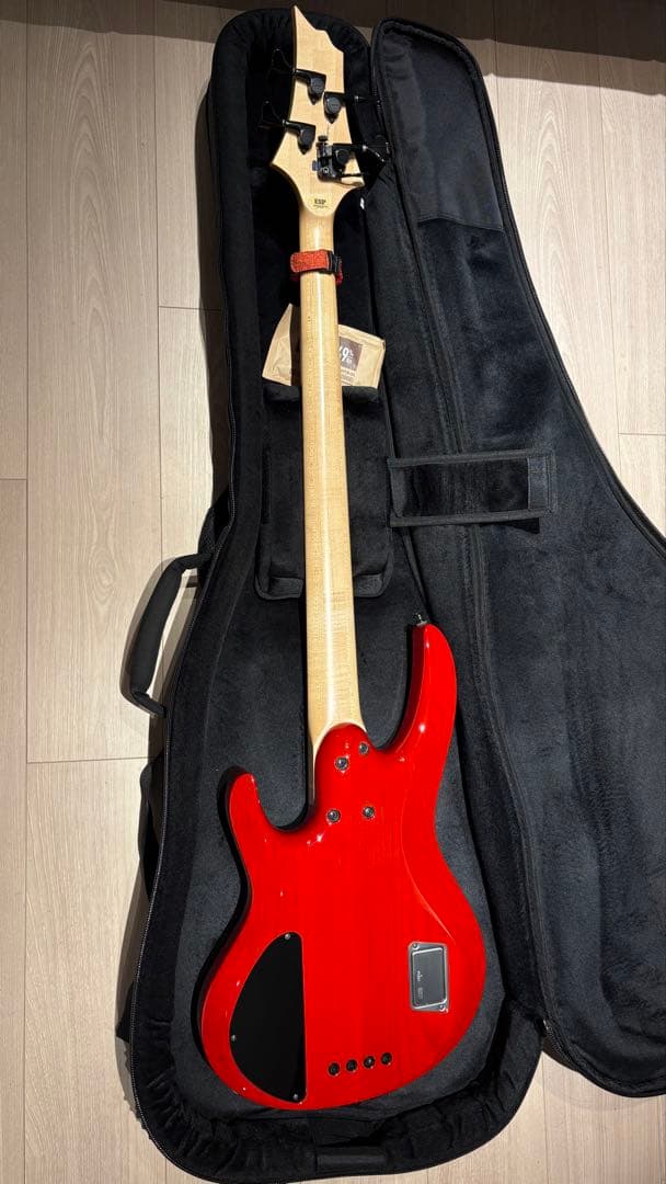 ESP BTL LISAカスタマイズ