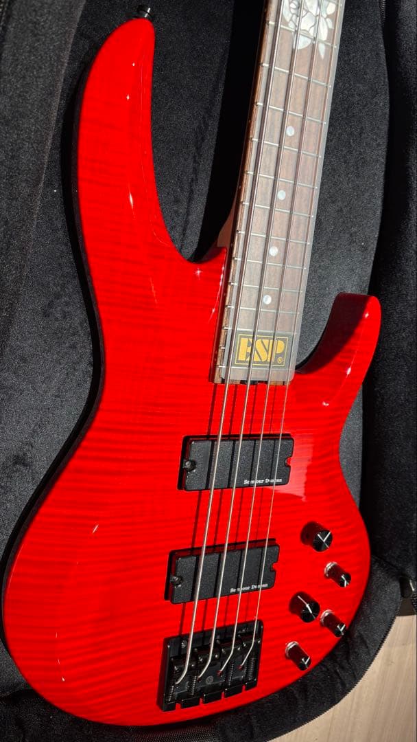ESP BTL LISAカスタマイズ