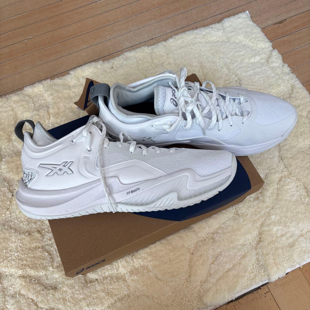 新品　ノヴァサージロー２（NOVA SURGE LOW2）
