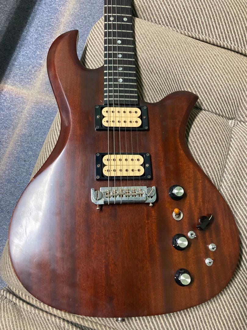 ARIA PROⅡ EG-1200